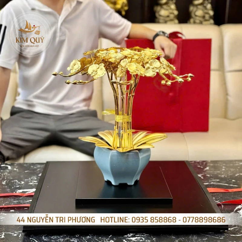 Chậu lan dát vàng 24k
